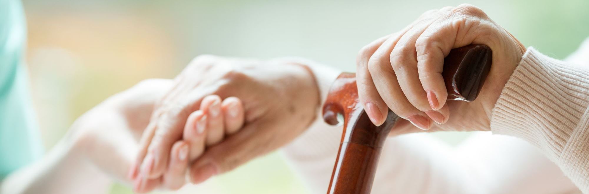 Diakonie Mecklenburgische Seenplatte gGmbH