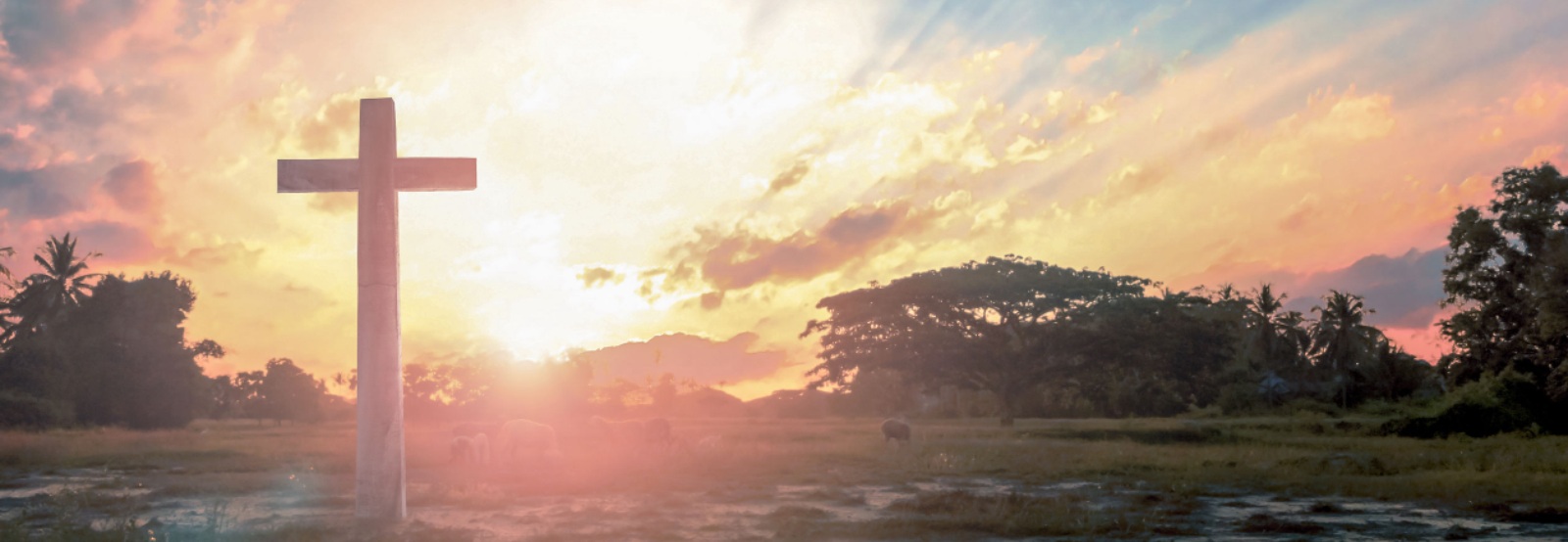 Ev.-Luth. Kirchenkreis Rantzau-Münsterdorf